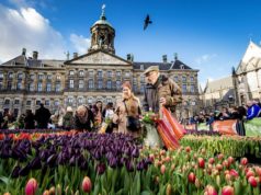 National Tulip Day! Did you know that you can pick a beautiful bouquet of tulips for free at Amsterdam's Dam Square on Saturday 20 January 2018?