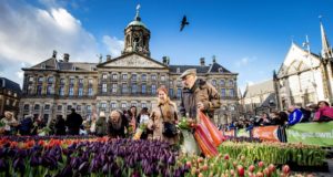 National Tulip Day! Did you know that you can pick a beautiful bouquet of tulips for free at Amsterdam's Dam Square on Saturday 20 January 2018?