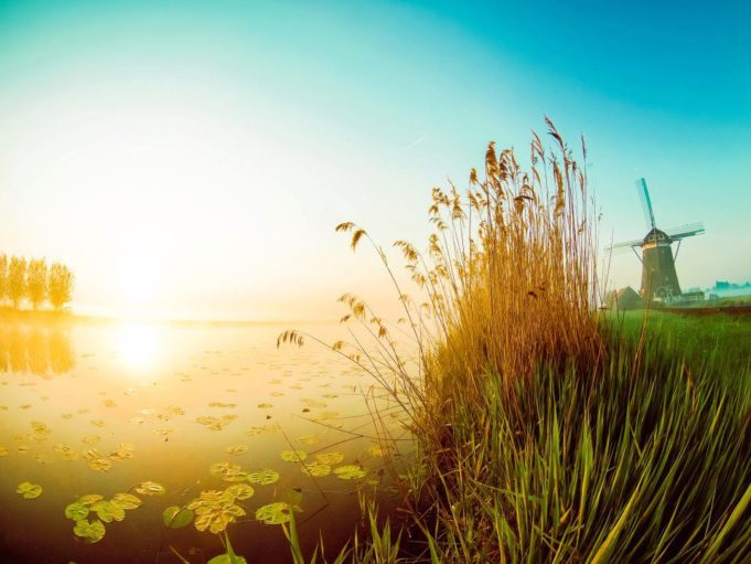 Windmill 'De Driegang' in Leidschendam (South Holland)
