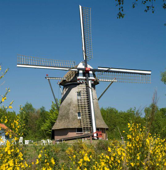 Windmill 'De Vlijt' in Wapenveld (Gelderland)