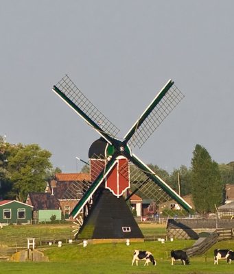 Windmill 'Zweilandermolen' in Warmond (South Holland)