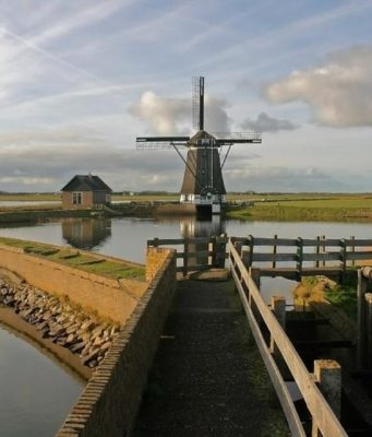 Texel