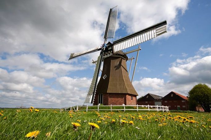 windmill Nieuw Scheemda