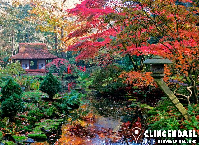 Did you know that given its extreme fragility, the magnificent Japanese Garden in The Hague is only open a few weeks in spring and autumn? The crown jewel of the Clingendael estate can be visited this autumn from 14 to 29 October 10.00-16.00. Free entrance!