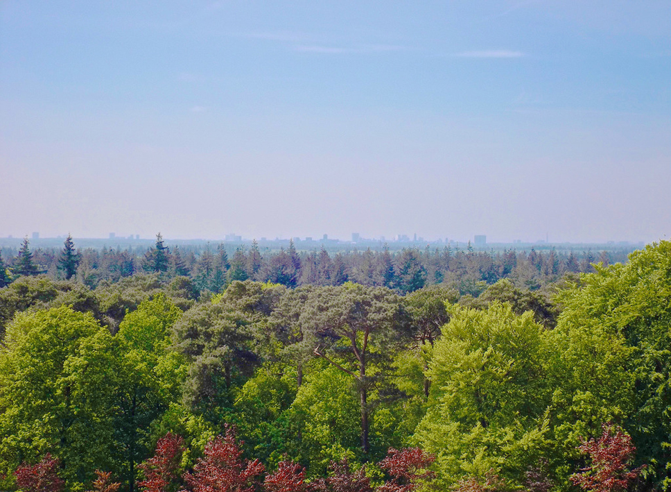 The Dutch pyramid of Austerlitz | Heavenly Holland