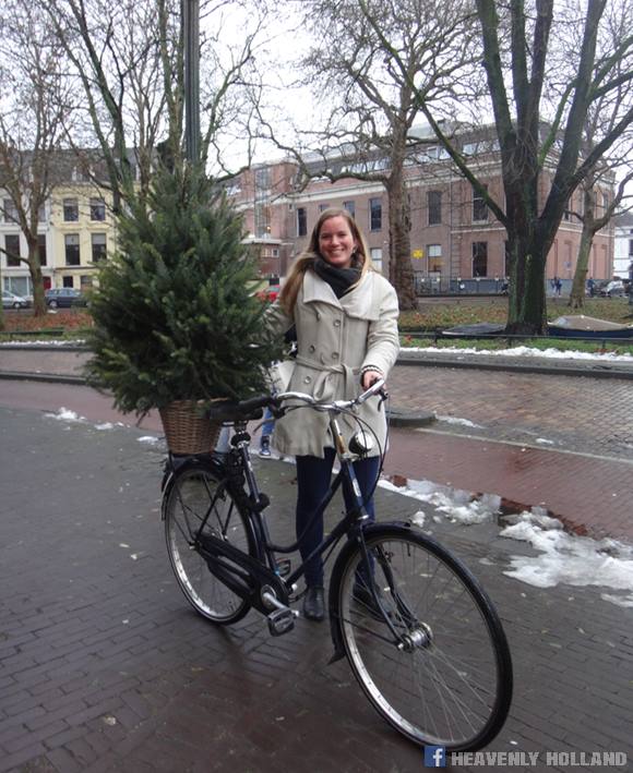Did you know that the Dutch transport about anything on their bicycles? From babies to dogs and from toilet bowls to Christmas trees.