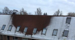 Did you know that it is easy peasy for the Dutch police to spot houses where cannabis is cultivated? Snow will melt because of heat lamps used to nurture the plants.