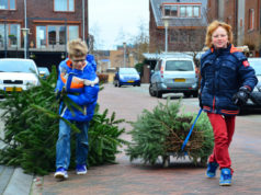 Did you know that kids in the Netherlands can earn some extra pocket-money by collecting Christmas trees?