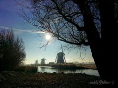 Did you know that the windmills in Stompwijk (Molendriegang) were built around 1672 for keeping the polders dry?