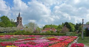 The Hortus Bulborum is the only bulb garden in the world with more than 4,000 different varieties of tulips, hyacinths, daffodils and other colorful spring flowers. Every spring the outdoor garden of Hortus Bulborum is a feast for the eyes and a pleasure for the nose.