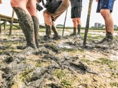 Did you know that the Wadden Islands are not the only place in the Netherlands where you can go mudflat walking? The Sophia Polder is a relatively new nature reserve near Dordrecht in South Holland. At low tide the polder is dry and is perfect for rugged mudflat hiking trips.